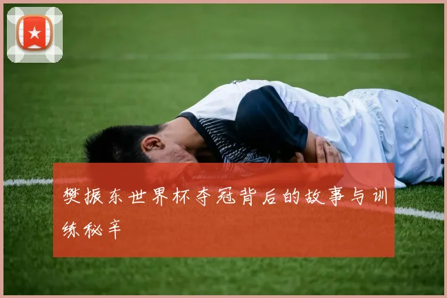 樊振东世界杯夺冠背后的故事与训练秘辛