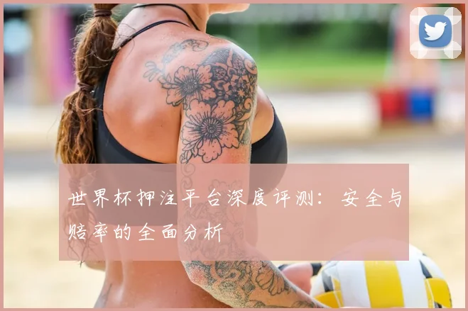 世界杯押注平台深度评测:安全与赔率的全面分析