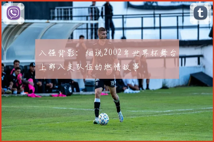 八强背影:细说2002年世界杯舞台上那八支队伍的燃情故事