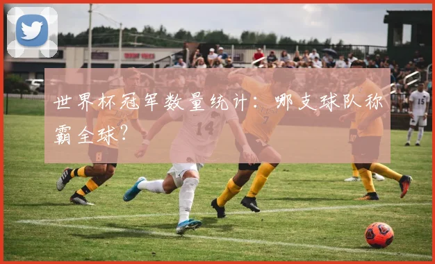 世界杯冠军数量统计：哪支球队称霸全球？