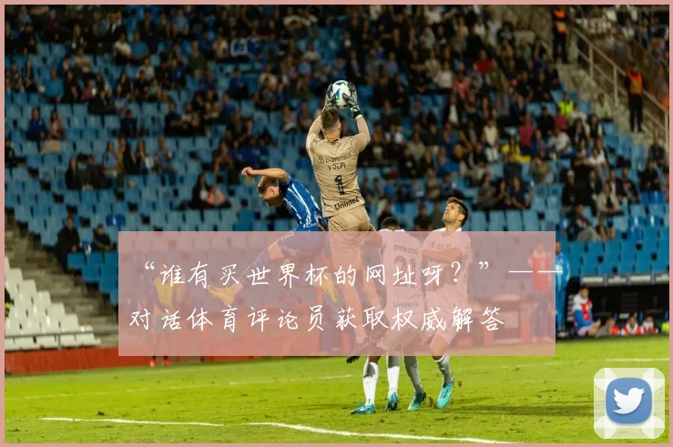 “谁有买世界杯的网址呀？”——对话体育评论员获取权威解答