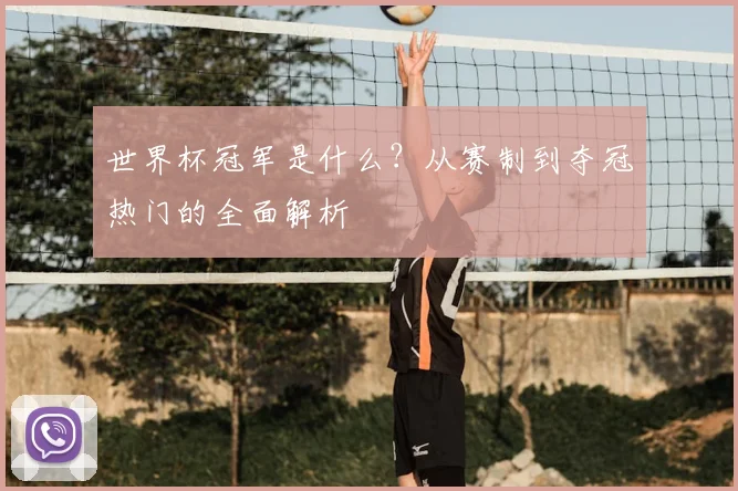 世界杯冠军是什么？从赛制到夺冠热门的全面解析