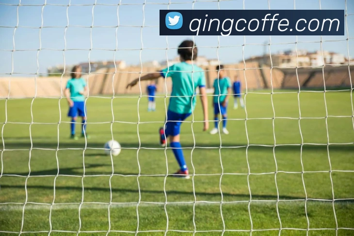 九游j9网页版品牌故事